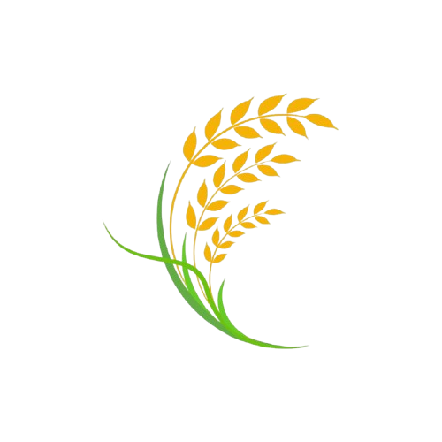 agriculture-wheat-rice-icon-design-vector-removebg-preview
